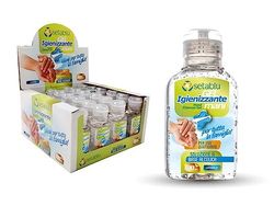 GEL DISINF. MAINS 100ML A BASE ALCOLIQUE