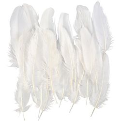 Feathers, approx. 15 cm, white, 350 pcs