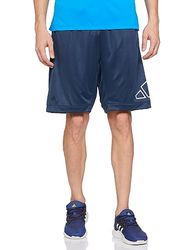 adidas Shorts, model Big Logo