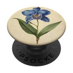 Orquídea Floral Vintage Ilustración Científica Flor PopSockets PopGrip Adhesivo