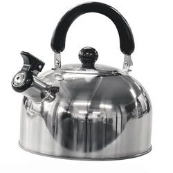 Green Haven 2L campingfluitketel - draagbare roestvrijstalen reistheepot - campingwaterkoker voor gasfornuis, elektrisch fornuis en kampvuur - snelkook- en opvouwbare waterkoker