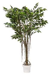 VEA SRL Plante G. FICUS REALTOUCH 150 cm 57965