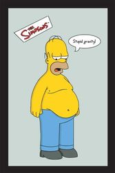 empireposter Simpsons, The Stupid Gravity - afmetingen (cm), ca. 20x30 - Bedrukte spiegel, NIEUW - beschrijving: - Bedrukte wandspiegel met zwart kunststof frame in houtlook