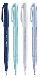 Pentel SES15C Brush Sign Pen Rotulador punta flexible para caligrafía, caligrafía, ilustración, juego de 4 unidades, surtido invierno