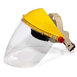 Occhiali di sicurezza SWISS ONE SHAPE protezione viso scudo trasparente SHAPE55HA23C