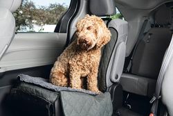 Beeztees / Van Riel Distripe Dirty Dog Couverture de Voiture pour Chien Gris 112 x 89 cm