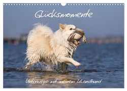 Glücksmomente - Unterwegs mit meinem Islandhund (Wandkalender 2025 DIN A3 quer), CALVENDO Monatskalender: Die Lebensfreude meines Islandhundes ist ansteckend.