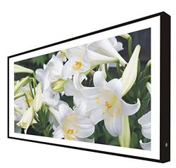 Black Lacquered Wood Frame Frame Backlit Flowers: Lily