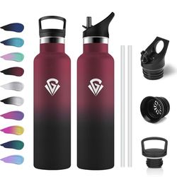 Botella Agua Acero Inoxidable 750ml, Cantimplora Termo con Pajita y Filtro, sin BPA, Reutilizable, Fácil de llevar, Termo a Prueba de Fugas, Cantimplora para Adultos, Oficina, Escuela, Bicicleta