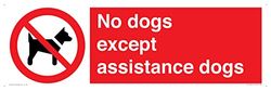 Letrero con texto en inglés "No Dogs except assistance Dogs", 600 x 200 mm, L62