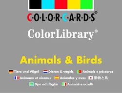 Animals & Birds Colorlibrary Colorcards