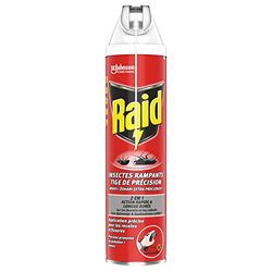 Raid Aerosol Insectes Rampants Tige De Precision 2En1 400Ml