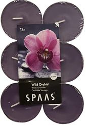 Spaas 12 Scented Maxi Tealights, ± 10 Hours, Wild Orchid