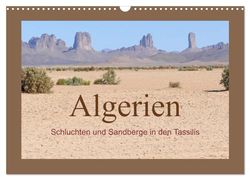 Algerien - Schluchten und Sandberge in den Tassilis (Wandkalender 2026 DIN A3 quer), CALVENDO Monatskalender: Im Niemandsland zwischen Niger und Libyen