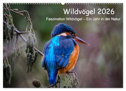 Wildvögel 2026 (Wandkalender 2026 DIN A2 quer), CALVENDO Monatskalender: Entdecke die faszinierende Welt der Wildvögel in ihrem natürlichen Lebensraum - Monat für Monat!