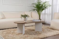 Dmora - Table Basse Parrano, Table Basse, Porte-revues pour canapé, Etagère de Salon, 119x60 h40 cm, Noyer et Blanc