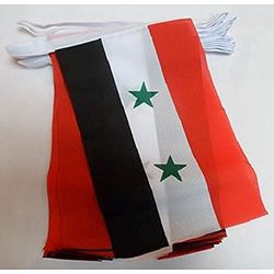 AZ FLAG Guirnalda 6 Metros 20 Banderas de Siria 21x15cm - Bandera Siria 15 x 21 cm - BANDERINES