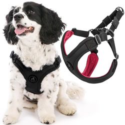 GOOBY Escape Free Harnais de Sport en néoprène, breveté, sans étranglement, pour Chien de Petite et Moyenne Taille, avec réglage à Quatre Points, Noir, Taille S