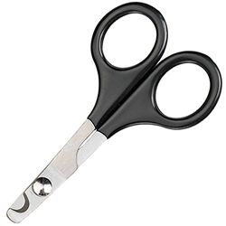 Master Grooming Tools Pet Forbici per Unghie, Forbici per potare Chiodi in Acciaio Inox su Gatti e Uccelli – Medium, 12,7 cm