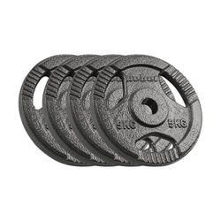 Rebel halterset gietijzer 4 x 5 kg boring 31 mm handvat plaat RBA-2134