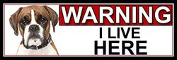 SHAWPRINT Boxer WARNING I LIVE HERE METAL GATE SIGN 266mm x 87mm. (972H2)