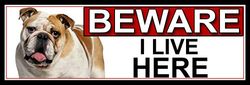 SHAWPRINT Bulldog BEWARE I LIVE HERE METAL GATE SIGN 266mm x 87m. (443H2)