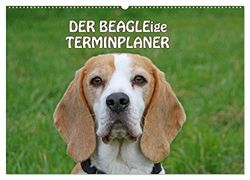 DER BEAGLEige TERMINPLANER (Wandkalender 2024 DIN A2 quer), CALVENDO Monatskalender: Putzige Schlappohren