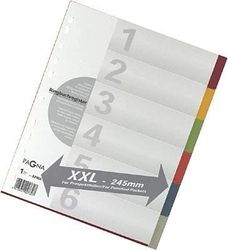 Pagna 32005-20 registrering, A4, XXL, 6-delad, 6-färgad