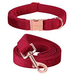 ARING PET Collare e guinzaglio per cani in velluto, simpatico collare rosso e guinzaglio, collare per cani regolabile in morbido velluto con fibbia in metallo per cani di piccola e media taglia.