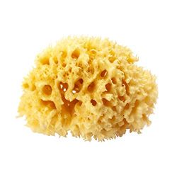 OKBABY Esponja Honeycomb - esponja natural do mar mediterrâneo para a casa de banho de bebé, ultra macia e macia, ideal para peles delicadas, cor amarela, 12, 20 g