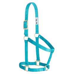 Weaver Equine - Cavezza per Cavalli in Nylon, Comoda Tessitura a Doppio Strato, Base Non Regolabile, per Cavalli, Taglia Media, Turchese