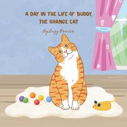 A Day in the Life of Buddy, the Orange Cat