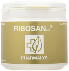 Ribosan 310 g in polvere