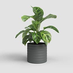 Artevasi Chloe Vaso, Vaso da fiori con linee orizzontali, Vaso decorativo, Ceramica fatta a mano, Antracite, 21cm
