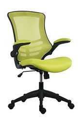 Office Hippo Chaise de Bureau en Maille avec Hauteur et Inclinaison réglables, contrôle de la Tension, accoudoirs rabattables, Vert, 63 x 62 x 97 à 106,5 cm