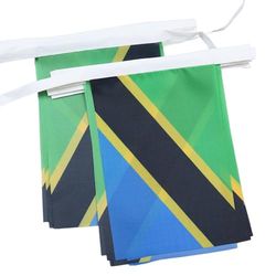 AZ FLAG Ghirlanda 6 Metri 20 Bandiere Tanzania 21x15cm, Bandiera Tanzaniana 15 x 21 cm - Festone Bandierine