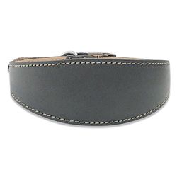 BBD Pet Products Szara obroża psa, jeden rozmiar, 3/4 x 35 do 40 cm, szary