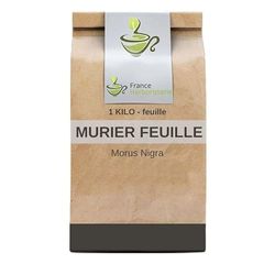 Tisane Murier feuille 1 KILO morus nigra