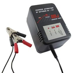 Greenstar 30432 - Caricabatterie elettrico per tosaerba