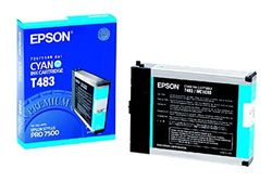 Epson Ink Cyan Cartridge 110 ml, T463011