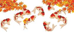 Diamonddotz DD15.011 Coy Carp 150X65 cm