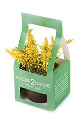 Dichter bij de natuur Kunstmatige 18cm Paarse Bellflower Plant met Gift Box - Kunstmatige Zijde Plant en Boom Bereik