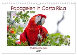 Papageien in Costa Rica (Wandkalender 2024 DIN A4 quer), CALVENDO Monatskalender: Faszinierende Bilder aus der Welt der wild lebenden Aras