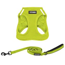 Best Pet Supplies Voyager - Pettorina in rete per tutte le condizioni atmosferiche e guinzaglio riflettente per cani da 1,5 m, con manico in neoprene, per cuccioli di taglia piccola, media e grande