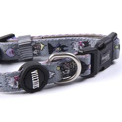 CERDÁ Life's Little Moments DC PetsDog Hondenhalsband, officieel gelicentieerd DC Comics, meerkleurig