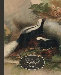 Half & Half Notebook: Half Blank and Half College Ruled Pages with a Vintage Skunk Illustration Cover