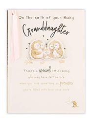 Clintons: Owl Family Birth Of Granddaughter Card, New Granddaughter Card127x178mm, multi, 1168177