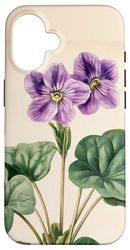 Pianta dell'illustrazione scientifica dell'annata viola africana Custodia per iPhone 16