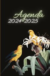 Agenda 2024-2025 Settimanale: 24 mesi di pianificazione impeccabile | Settimanale da Gennaio 2024 a Dicembre 2025 | La settimana su una doppia pagina | Formato A5 | 240 pagine.