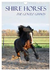 Shire Horses The Gentle Giants (Wall Calendar 2025 DIN A4 portrait), CALVENDO 12 Month Wall Calendar: The tallest horse breed in the world in action and detail